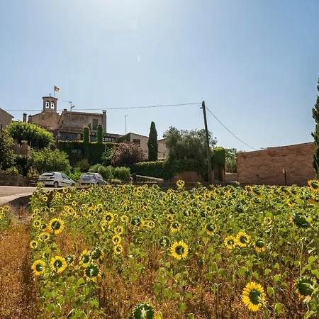 Ferienhaus Ca La Maria Orriols